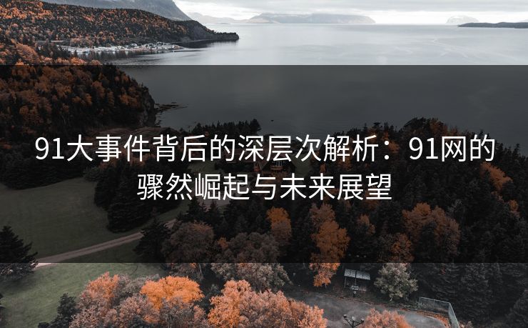 91大事件背后的深层次解析:91网的骤然崛起与未来展望 91大事件背后的深层次解析:91网的骤然崛起与未来展望