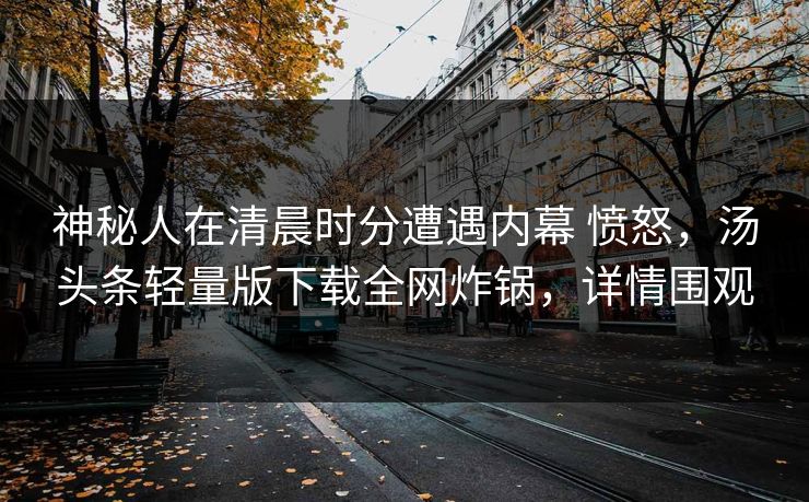 神秘人在清晨时分遭遇内幕 愤怒，汤头条轻量版下载全网炸锅，详情围观